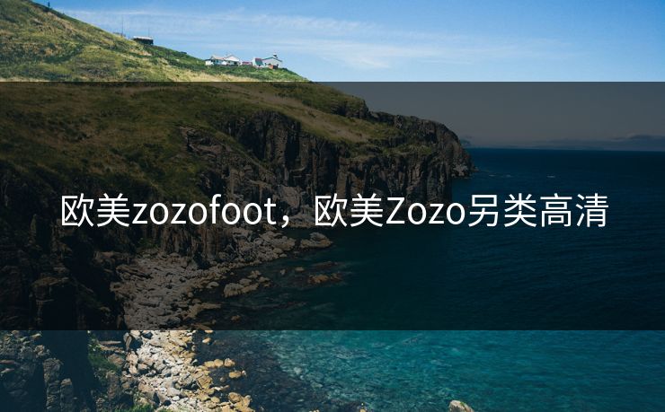 欧美zozofoot，欧美Zozo另类高清