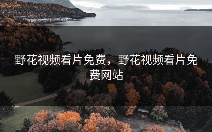 野花视频看片免费,野花视频看片免费网站